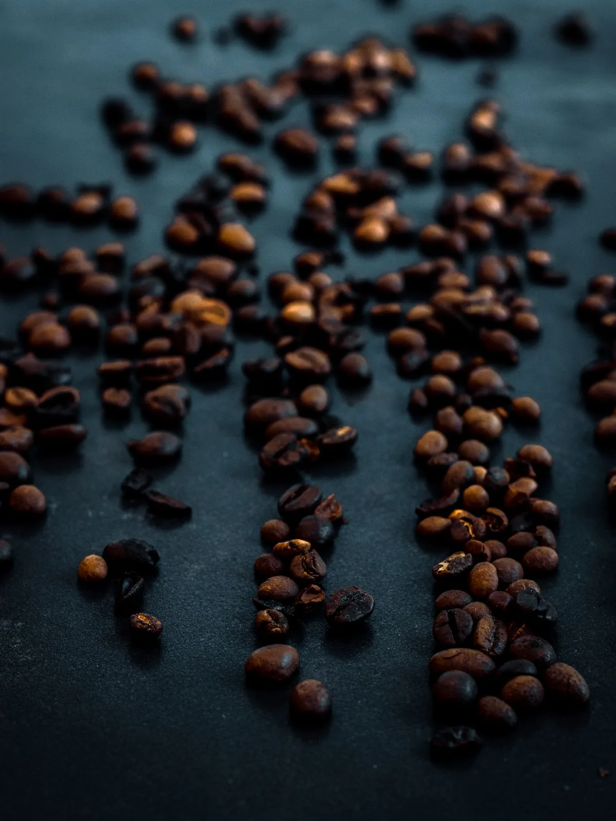 Kopi Nusantara
